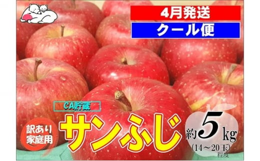 【クール便】4月発送 白熊 訳あり家庭用 サンふじ 約5kg 糖度13度【弘前市産 青森りんご・CA貯蔵】 1026149 - 青森県弘前市