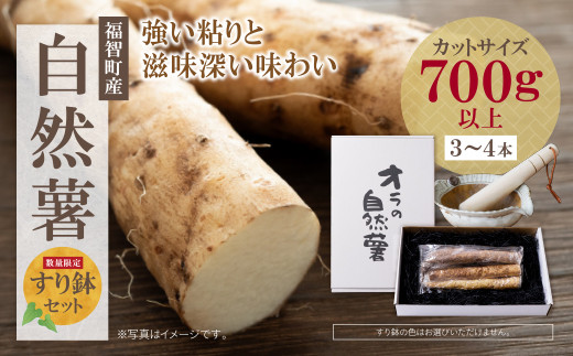 P19-04 オラの自然薯すり鉢セット(カットもの 700g以上) 野菜 グルメ 取り寄せ ご当地 特産 産地 直送人気 オススメ 1442720 - 福岡県福智町