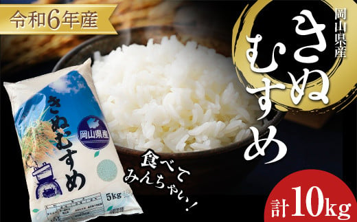 食べてみんちゃい！ 令和6年岡山県産米 きぬむすめ 米 お米 ブランド米 銘柄米 備蓄 日本米 コメ ごはん ご飯 食品 TY0-0761 1459256 - 岡山県津山市