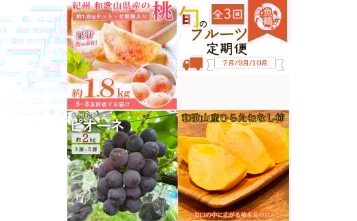 【全3回】紀州和歌山産旬のフルーツ定期便 (桃・ピオーネ・ひらたねなし柿)【tkb371】 2207974 - 和歌山県北山村