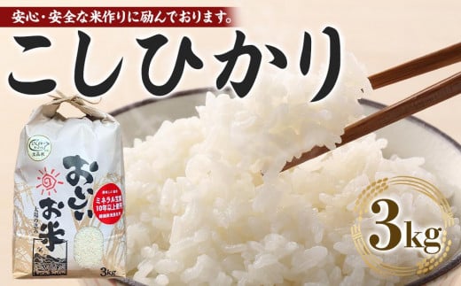 【期間限定】【令和6年産新米】こしひかり 3kg（農薬・化学肥料不使用）【米 こめ お米 白米 精米 ブランド米 ご飯 人気 徳島 】 1387640 - 徳島県徳島市