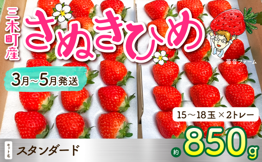 1101　苺音スタンダード～春の大粒のさぬきひめいちご～ 約850ｇ 786139 - 香川県三木町