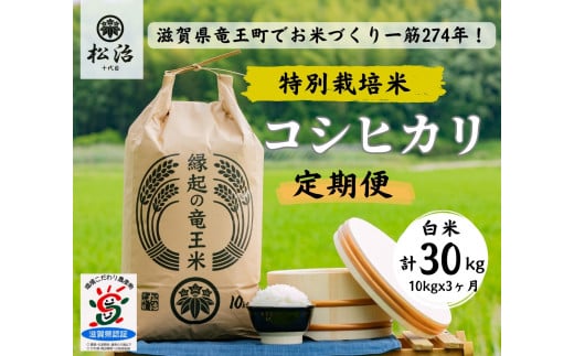 [ 新米予約 ] 定期便 コシヒカリ 白米 10kg × 3ヶ月 縁起の竜王米 ( 令和6年産 先行予約 新米 白米 30kg 定期 3回 お米 おこめ ごはん 米 特別栽培米 ブランド米 ライス こだわり米 ギフト 国産 滋賀県竜王町 )