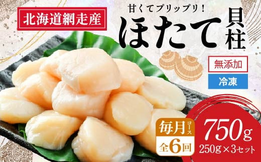 【全6回（毎月）】網走前浜産 無添加ホタテ貝柱750g（250g×3袋）【 ホタテ ほたて 帆立 貝柱 ホタテ貝柱 ほたて貝柱 帆立貝柱 刺身 ホタテ刺身 刺身ホタテ ほたて刺身 刺身ほたて 帆立刺身 北海道 国産 北海道産 魚介 魚介類 海鮮 小分け 天然 定期便 送料無料 人気 ランキング おすすめ 】ABAI035