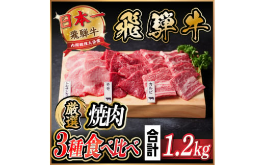 飛騨牛　焼肉厳選3種食べ比べセット(カルビ・トモサンカク・モモ)　約1.2kg【1531176】 1422191 - 岐阜県羽島市