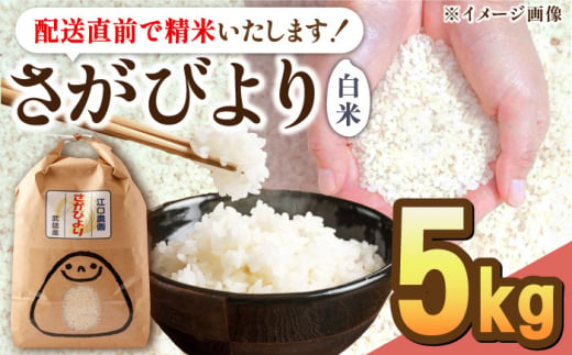 【2024年9月発送】令和5年産 さがびより 5kg 配送前精米 /江口農園 [UBF003] 米 お米 白米 精米 ブランド米 1420986 - 佐賀県武雄市