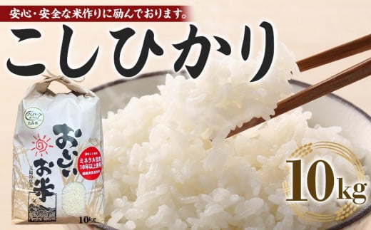 【期間限定】【令和6年産 新米】こしひかり 10kg（農薬・化学肥料不使用）9月より順次発送 【米 こめ お米 白米 精米 ブランド米 ご飯 人気 徳島 】 1387642 - 徳島県徳島市