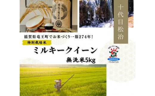 新米【 数量限定 】 ミルキークイーン 無洗米 5kg 縁起の竜王米  ( 令和7年産 先行予約 新米 無洗米 5kg お米 おこめ ごはん 米 特別栽培米 ブランド米 ライス こだわり米 ギフト 国産 縁起の竜王米 滋賀県竜王町 ) 1388327 - 滋賀県竜王町