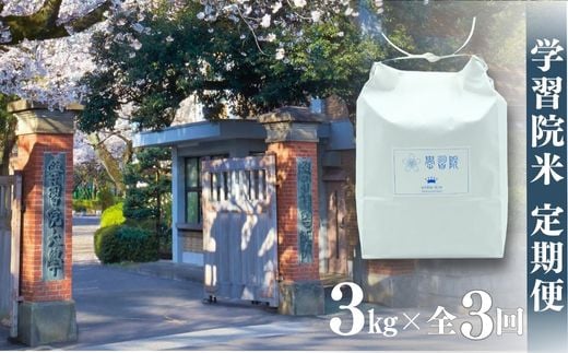 【令和6年産新米先行予約】学習院米 定期便 3kg×全3回 1434788 - 長野県栄村