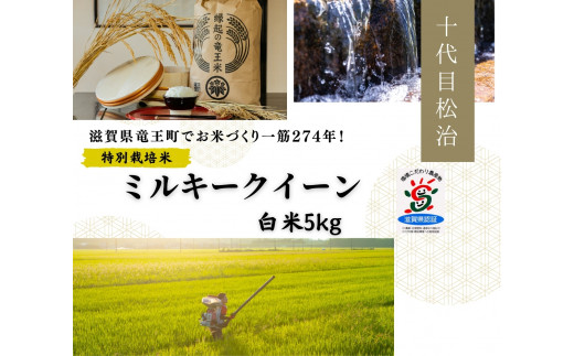  【新米予約】 【 数量限定 】ミルキークイーン 白米 5kg 縁起の竜王米   ( 令和7年産 先行予約 新米 白米 5kg お米 おこめ ごはん 米 特別栽培米 ブランド米 ライス こだわり米 ギフト 国産 縁起の竜王米 滋賀県竜王町 ) 1388325 - 滋賀県竜王町