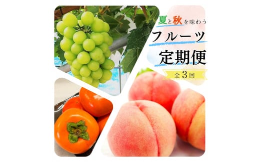 定期便】夏をお届け!フルーツ定期便!小玉すいか・桃・ピオーネ 定期便】夏をお届け!フルーツ定期便!小玉すいか・桃・ピオーネ