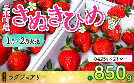 982 苺音ラグジュアリー〜冬の大粒さぬきひめいちご〜 約850g