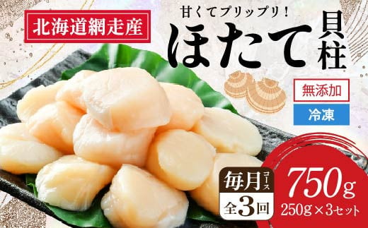 [全3回(毎月)]網走前浜産 無添加ホタテ貝柱750g(250g×3袋)[ ホタテ ほたて 帆立 貝柱 ホタテ貝柱 ほたて貝柱 帆立貝柱 刺身 ホタテ刺身 刺身ホタテ ほたて刺身 刺身ほたて 帆立刺身 北海道 国産 北海道産 魚介 魚介類 海鮮 小分け 天然 定期便 送料無料 人気 ランキング おすすめ ]A