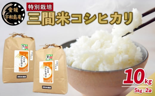 特別栽培米 新米 三間米 コシヒカリ 計10kg 5kg × 2袋 伊勢本農園 特別栽培 米 お米 おこめ ごはん こめ コメ ※ kome 白米 精米 お弁当 ブランド米 ふっくら ツヤツヤ ライス 農家直送 産地直送 数量限定 国産 愛媛 宇和島 G020-146002 1482795 - 愛媛県宇和島市