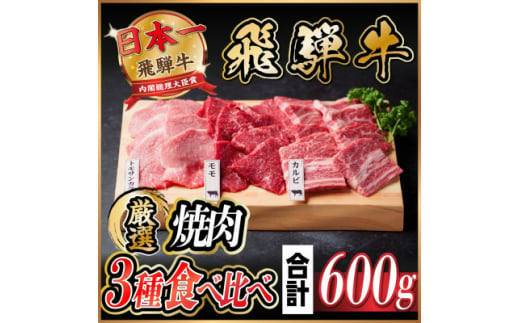 飛騨牛　焼肉厳選3種食べ比べセット(カルビ・トモサンカク・モモ)　約600g【1531174】 1422190 - 岐阜県羽島市