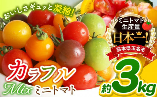 ミニトマト 生産量 日本一 玉名市 !! カラフル ミニトマト 約 3kg （ ミックス ） サザキ農園 | 野菜 トマト ミニトマト 熊本県  玉名市｜ふるラボ