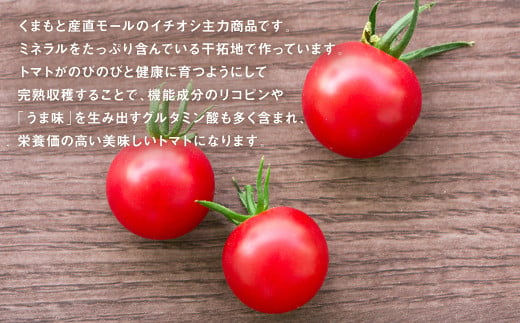 甘みと酸味のバランス、旨みが絶妙な代表作】完熟収穫ミニトマト 約1.3kg 国産 トマト 完熟 野菜 - 熊本県八代市｜ふるさとチョイス -  ふるさと納税サイト