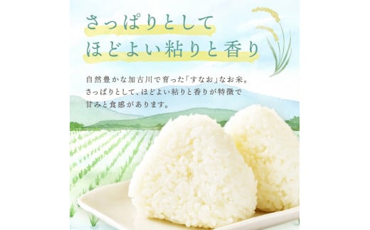 令和6年産 2024年11月より順次発送】はしもとさんちのお米(10kg)《米 ヒノヒカリ ひのひかり おこめ 国産 送料無料  》【2401B14304】 - 兵庫県加古川市｜ふるさとチョイス - ふるさと納税サイト