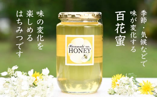 数量限定】2024年産 国産天然蜂蜜（春の蜜）500g & 470g【合計970g】【蜂蜜 パンケーキ ヨーグルト 甘み フルーティ  とろとろ】(H049114) - 佐賀県神埼市｜ふるさとチョイス - ふるさと納税サイト