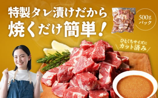 特別寄附金額】やわらか牛ヒレ肉 1.5kg 小分け 500g×3P【氷温熟成×特製ダレ 切り落とし 訳あり サイズ不揃い サイコロステーキ  一口サイズにカット】 - 大阪府泉佐野市｜ふるさとチョイス - ふるさと納税サイト