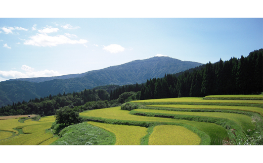 兵庫県養父市のふるさと納税 ＜但馬牛＞すき焼き 赤身&霜降り 特選セット700g【1313373】