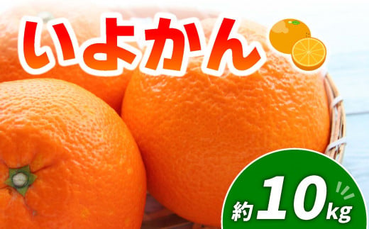 伊予柑 10kg | みかん 愛媛 松山 フルーツ 果物 くだもの 数量限定 期間限定 送料無料 柑橘 みかん フルーツ 果物 みかん ランキング 2024年度 1477167 - 愛媛県松山市