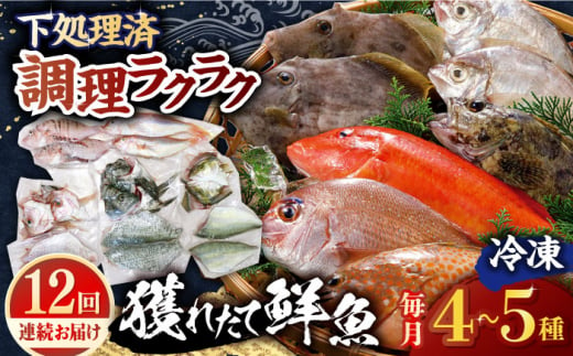 【全12回定期便】【平戸市場直送】旬の獲れたて鮮魚（冷凍）＜4〜5種類＞ 平戸市 / ひらど新鮮市場 [KAB230] 1423712 - 長崎県平戸市