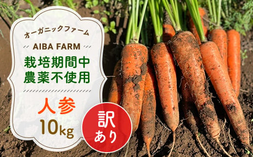 【12月～2月発送】【栽培期間中農薬不使用】訳あり人参１０㎏ オーガニックファーム AIBA FARM Ｂ品 / 野菜 やさい にんじん 人参 ニンジン 名産 特産 甘い 美味しい 訳あり 不揃い B級 オーガニック organic 健康 ヘルシー フードロス AIBA FARM アイバファーム 千葉県 富里市 TML007 1482027 - 千葉県富里市