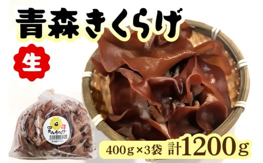 青森きくらげ(生)400g×3袋入り｜青森 つがる産 キクラゲ 具材 食物繊維 生きくらげ きくらげ 料理 [0691] 1429612 - 青森県つがる市