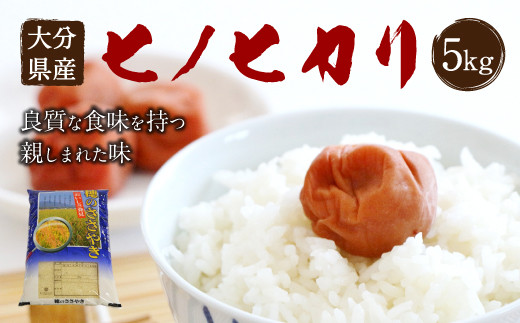 【令和6年産新米】大分県産 ヒノヒカリ 5kg 【2024年10月下旬発送開始予定】  1348561 - 大分県竹田市