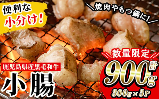 [数量限定]鹿児島県産 黒毛和牛 小腸 ホルモン 900g(300g×3P) 冷凍 小分け 国産 鹿児島県産 黒毛和牛 モツ 生ホルモン 生冷凍ホルモン お取り寄せ[L-003H]