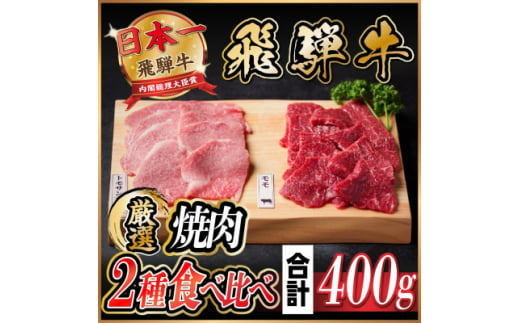 飛騨牛　トモサンカク・モモ焼肉　約400g(各約200g)【1531166】 1423590 - 岐阜県羽島市