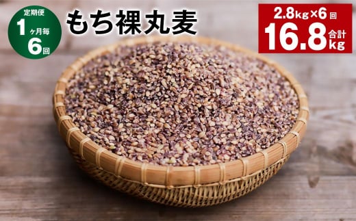 【1ヶ月毎6回定期便】 もち裸丸麦 計16.8kg（2.8kg✕6回） 麦 もち麦 丸麦 雑穀 大麦 1422641 - 大分県九重町