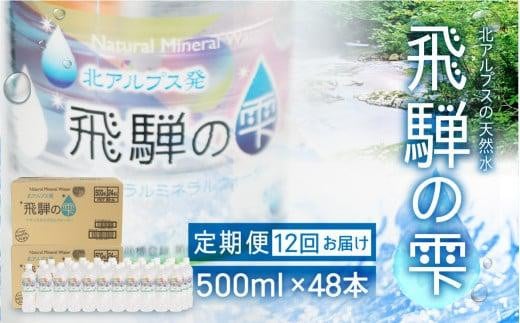 【12回 定期便】天然水 飛騨の雫 500ml×48本 (2ケース)  12ヶ月 水 ペットボトル 飲料水 500ミリリットル 白啓酒店 飛騨高山 JS103