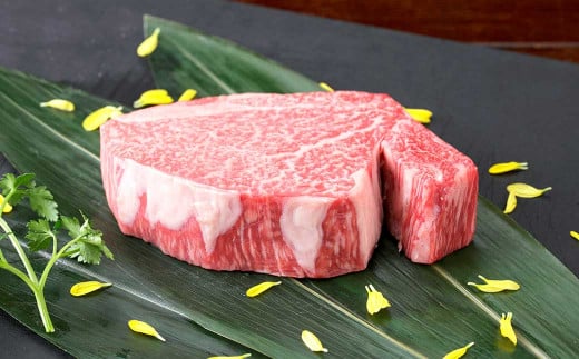 くまもと黒毛和牛 ヒレステーキ 200g(200g×1枚) 牛肉 牛 肉 黒毛和牛 和牛 お取り寄せ