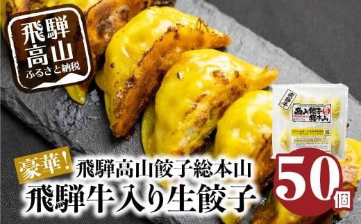 豪華！ 飛騨餃子 ファミリーパック 50個入り ＜ 生冷凍餃子 ・ 簡易包装 ＞ ぎょうざ ギョーザ 冷凍 冷凍餃子 飛騨高山 業務用 大容量 ニラ 飛騨牛 お取り寄せ 酒 つまみ FN004 586460 - 岐阜県高山市