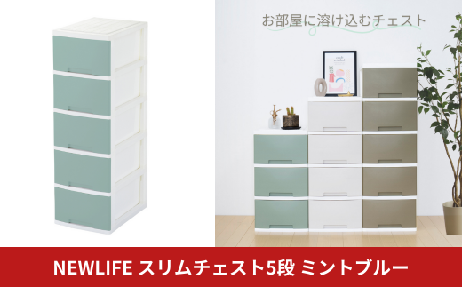 NEWLIFE スリム5段 ミントブルー 収納ケース 衣装ケース プラスチック 新生活 引っ越し 大容量 引き出し プラスチック 収納棚 おしゃれ 押入れ 押し入れ収納 リビング収納 【010S627】 1423400 - 新潟県三条市