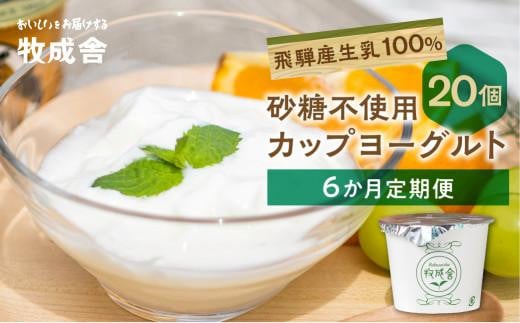 【6か月定期便】生乳100％ 砂糖不使用 プレーンヨーグルト 20個 牧成舎 朝食におすすめ 無糖ヨーグルト プレーンヨーグルト 砂糖不使用 生乳ヨーグルト 乳製品 DF111