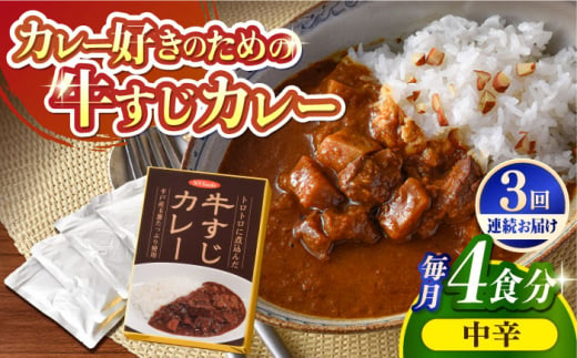 [全3回定期便][着日指定 可能][とろっとろになるまで煮込んだ]牛すじカレー 4食セット(中辛) 平戸市 / カレー工房 NVfoods 