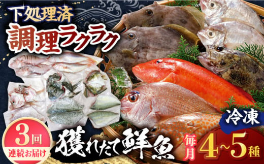 [全3回定期便][平戸市場直送]旬の獲れたて鮮魚(冷凍)[4〜5種類] 平戸市 / ひらど新鮮市場 