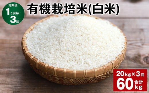 [1ヶ月毎3回定期便] 有機栽培米(白米) 計60kg(20kg✕3回) 米 白米 ミルキークイーン