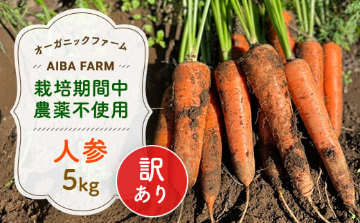 【12月～2月発送】【栽培期間中農薬不使用】訳あり人参５㎏ オーガニックファーム AIBA FARM　Ｂ品 / 野菜 やさい にんじん 人参 ニンジン 名産 特産 甘い 美味しい 訳あり 不揃い B級 オーガニック organic 健康 ヘルシー フードロス AIBA FARM アイバファーム  千葉県 富里市 TML006 1482026 - 千葉県富里市