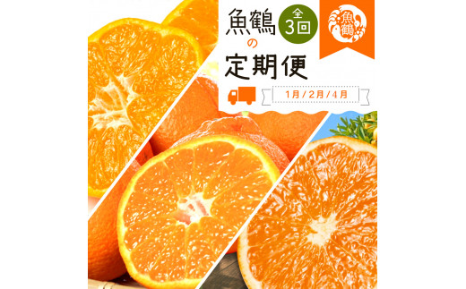 【全3回】紀州和歌山産旬の柑橘定期便(みかん・不知火・清見オレンジ)【tkb384】 2208002 - 和歌山県北山村