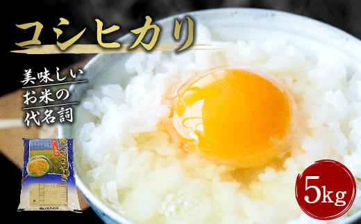 【令和6年産新米】大分県産 コシヒカリ 5kg 【2024年10月下旬発送開始予定】  1348592 - 大分県竹田市