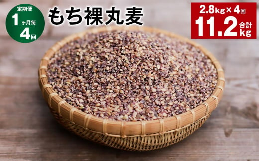 【1ヶ月毎4回定期便】 もち裸丸麦 計11.2kg（2.8kg✕4回） 麦 もち麦 丸麦 雑穀 大麦 1422644 - 大分県九重町