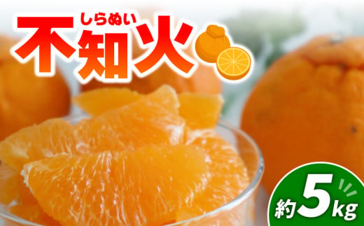 不知火 5kg | みかん 愛媛 松山 フルーツ 果物 くだもの 数量限定 期間限定 送料無料 柑橘 みかん フルーツ 果物 みかん ランキング 2024年度 1477122 - 愛媛県松山市