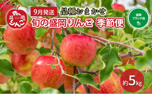 【先行予約】9月便　りんご工房きただ　旬の盛岡りんご「季節便」約5kgりんご 1423575 - 岩手県盛岡市