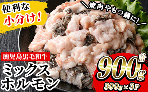 鹿児島県産 黒毛和牛 ミックスホルモン 900g(300g×3P)冷凍 小分け 国産 鹿児島県産 黒毛和牛 モツ もつ鍋 焼肉 ホルモンミックス お取り寄せ 冷凍 生冷凍[A-1738H]