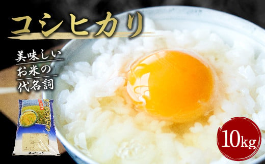 【令和6年産】大分県産 コシヒカリ 10kg  1986842 - 大分県竹田市