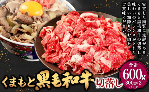 くまもと 黒毛和牛 切落し 合計600g (300g×2パック) 牛肉 肉 お肉 にく 和牛 国産